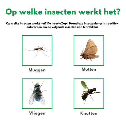 InsectaZap – Kabellose Insektenlampe