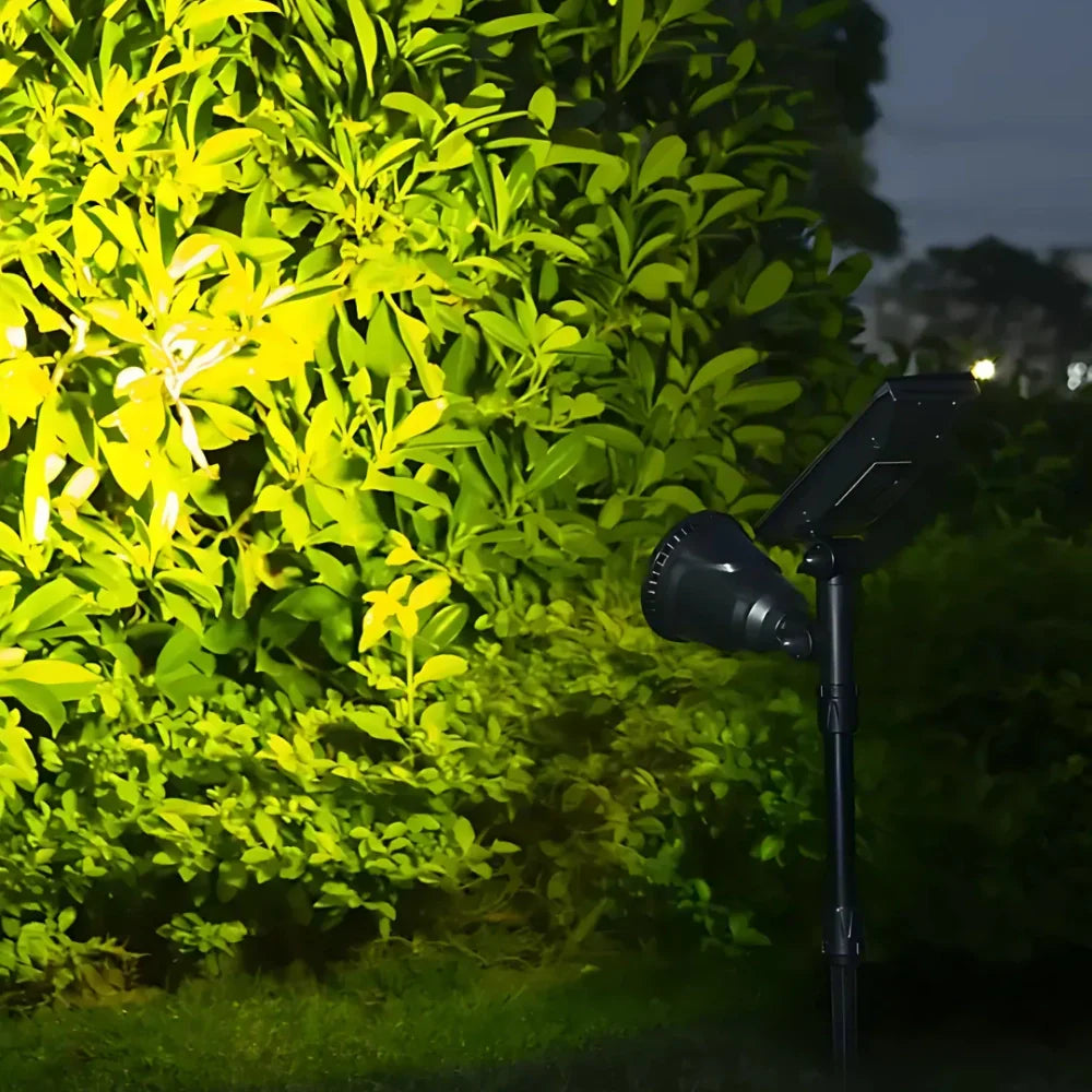 SunBlaze | Ultraheller Solar-Spot