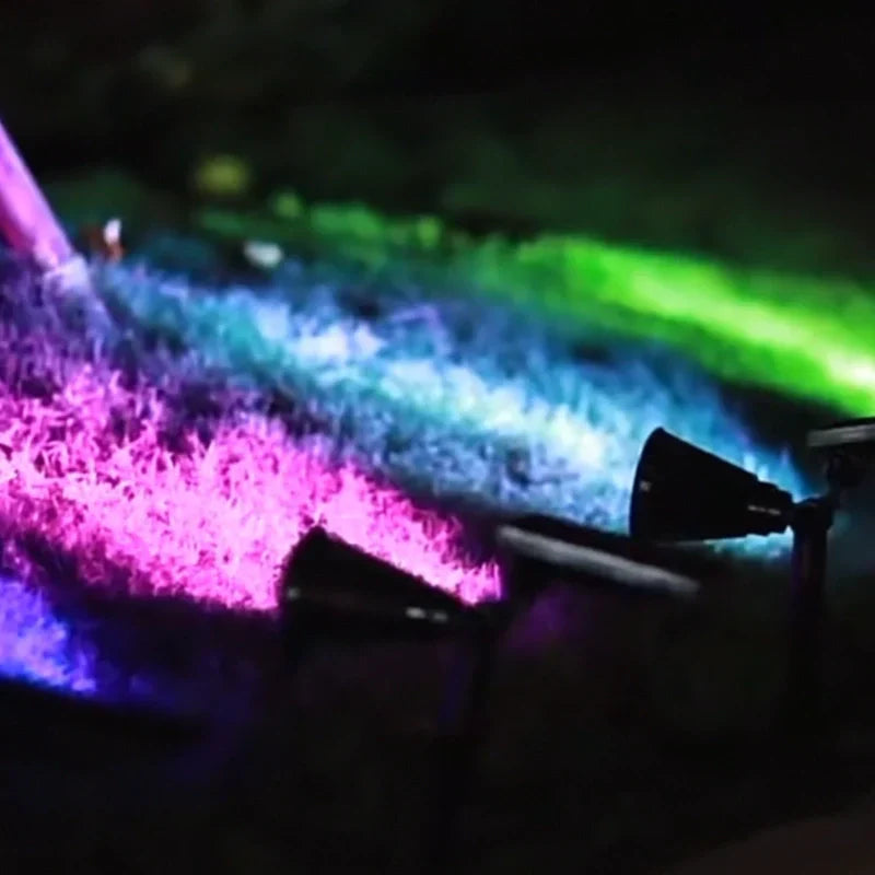 layout